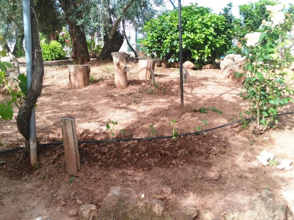 Alojamientos Rurales La Loma Pozo Alcón Eksteriør bilde
